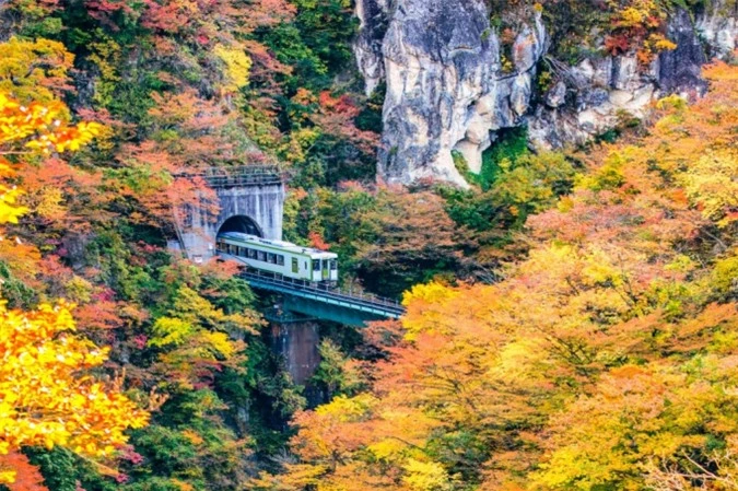 Hẻm núi Naruko Gorge thuộc tỉnh Miyagi - Nhật Bản. Điểm ấn tượng nhất là cầu Ofukazawa, nơi thường có đoàn tàu đi qua. Ảnh: DoctorEgg.