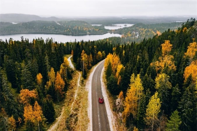 Con đường ở Lapland, Phần Lan. Mùa thu ở Phần Lan thường bắt đầu từ tháng 9 và kéo dài trong 3 tháng.Ảnh: iStock.