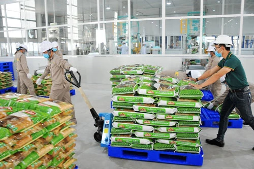 Gạo sạch chất lượng cao của một DN Việt vừa xuất khẩu vào thị trường EU.