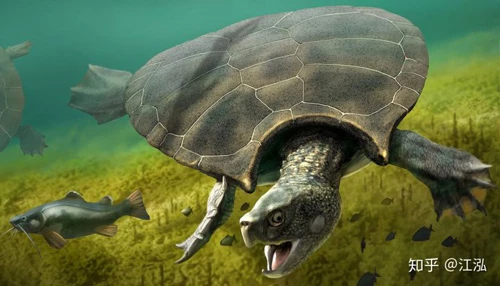Stupendemys là một chi tiền sử của rùa cổ nước ngọt. Hóa thạch của nó đã được tìm thấy ở phía bắc Nam Mỹ, trong các tảng đá có niên đại từ Trung Miocene cho đến khi bắt đầu Pliocene, khoảng 13 đến 5 triệu năm trước.