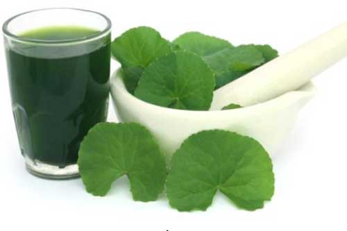 Bị những bệnh này đừng tốn tiền mua thuốc tây dùng rau má nhanh, hiệu quả, tốt hơn lại rẻ tiền