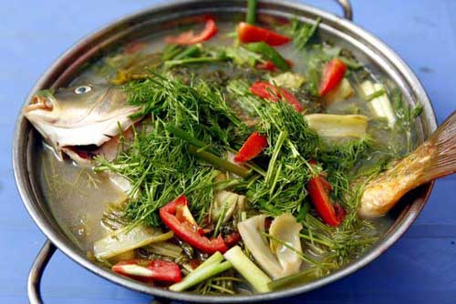 Canh cá thì là: Nấu thế nào ngon nhất mà không bị tanh?