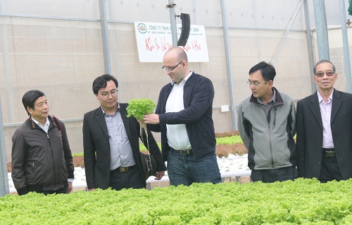 “Thủ phủ” du lịch canh nông Lâm Đồng tạm thời dừng chấp thuận đầu tư dự án mới