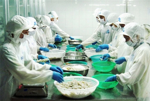 EVFTA có hiệu lực, tôm Việt vào EU tăng trưởng hai con số - Ảnh 2. EVFTA có hiệu lực, tôm Việt vào EU tăng trưởng hai con số - Ảnh 2.