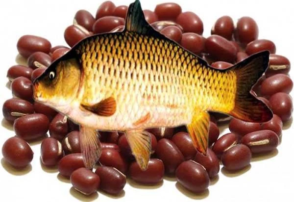 Dùng canh cá chép đậu đỏ còn tốt cho các trường hợp tiểu ít, tiểu buốt, người nóng, rêu lưỡi vàng nhớt