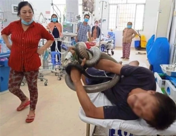 Vợ chồng bệnh nhân bị rắn hổ chúa cắn tặng 80 triệu đồng cho một bệnh nhân khác - Ảnh 1. Vợ chồng bệnh nhân bị rắn hổ chúa cắn tặng 80 triệu đồng cho một bệnh nhân khác - Ảnh 1.