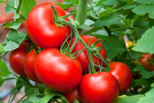 6 thực phẩm ăn "thả ga" cũng không lo tăng cân, béo bụng