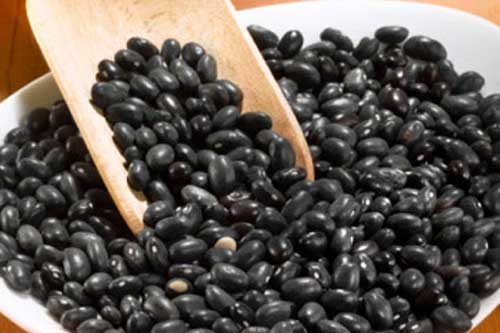 Công dụng chữa bệnh thần kỳ của đậu đen mà không phải ai cũng biết