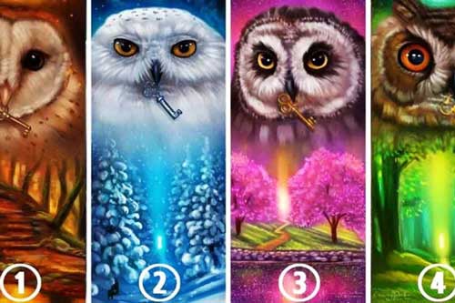 Trắc nghiệm: Chọn một con cú bạn nghĩ bí ẩn nhất, bật mí ngay tính cách tiềm ẩn của bạn