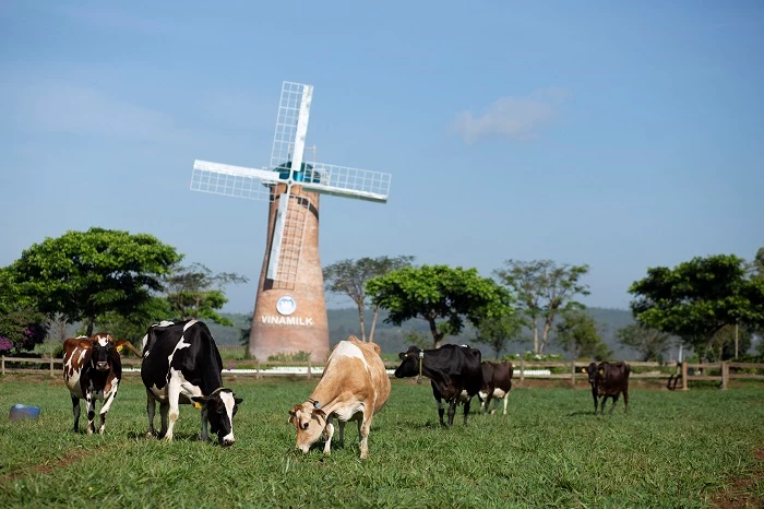 Trang trại Vinamilk Organic Đà Lạt đạt chuẩn hữu cơ Châu Âu đầu tiên tại Việt Nam.