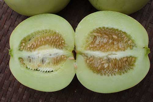 Ăn dưa lê 2 ngày liên tiếp bạn sẽ thấy điều thần kỳ