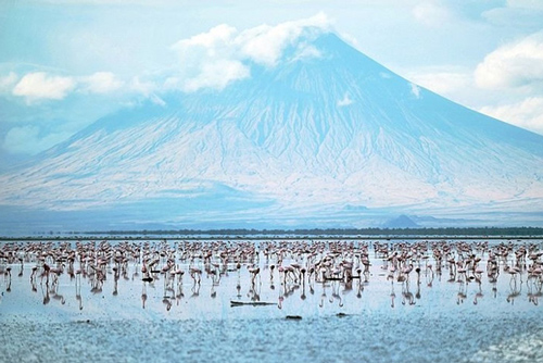 Chiêm ngưỡng hồ nước tử thần tuyệt đẹp song vật gì rơi xuống đều hóa đá