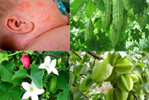 Trị rôm sảy cho bé bằng cách tắm các loại nước dưới đây