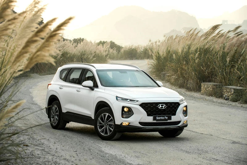 10. Hyundai Santa Fe (doanh số: 712 chiếc).