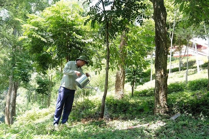 Tại khu di tích lịch sử Pác Bó, Cao Bằng, cây xanh do chương trình “Quỹ 1 triệu cây xanh cho Việt Nam” trồng tặng luôn được chăm sóc cẩn thận, chu đáo.