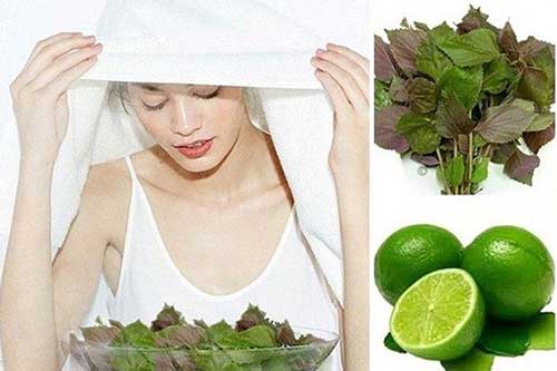 Đánh bay mụn ẩn, mụn bọc, mụn viêm chỉ bằng việc xông hơi với nước lá tía tô