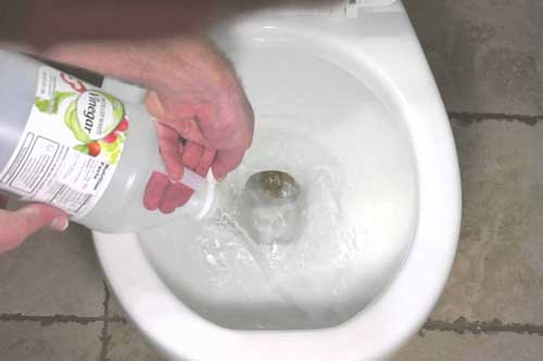 Đổ bát giấm vào bồn cầu sẽ thấy tác dụng cực kỳ bất ngờ