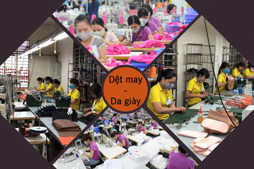 EVFTA - “Liều thuốc” kịp thời giúp doanh nghiệp Việt tăng xuất khẩu vào EU