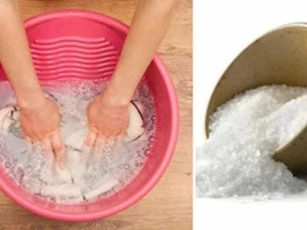 Lấy lòng đỏ trứng gà đổ vào quần áo ai cũng chửi "đồ hâm" nhưng hiệu quả thật sự bất ngờ