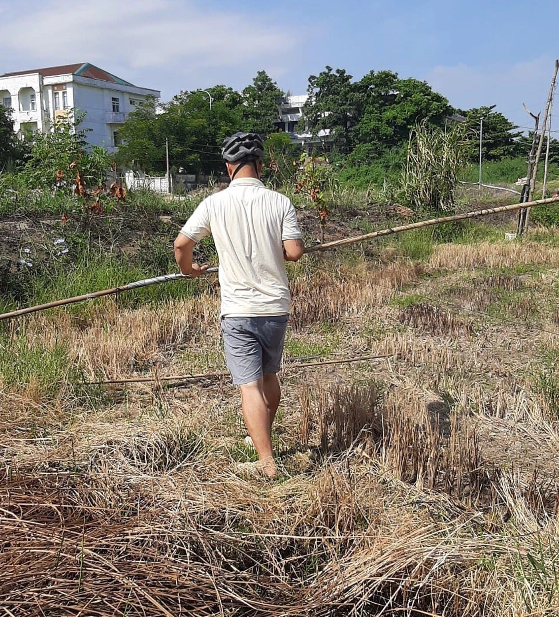 Ban bảo vệ chim yến thuộc Hội Yến sào Phú Yên đã ngăn chặn thành công vụ giăng lưới bắt chim yến. (nguồn ảnh: Hội Yến sào Phú Yên cung cấp)
