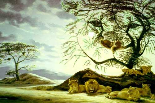 Trắc nghiệm: Xét khía cạnh tâm hồn, bạn bao nhiêu tuổi?