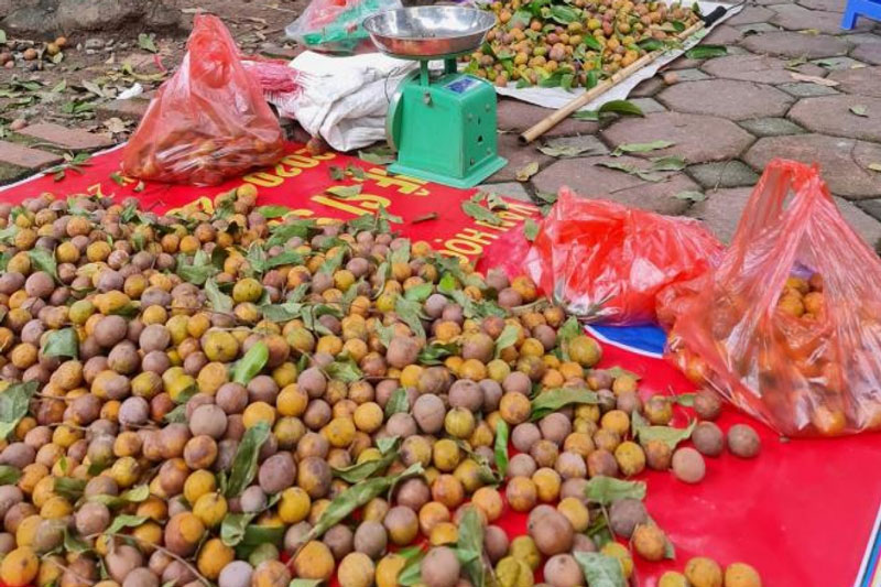 Đặc sản sấu chín Hà Nội 'cháy hàng', có bao nhiêu cũng bán hết