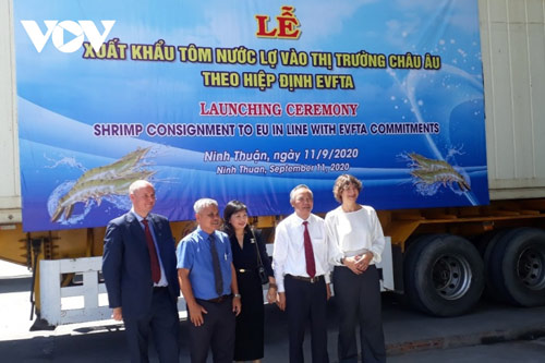 Ninh Thuận xuất khẩu tôm vào thị trường EU theo Hiệp định EVFTA