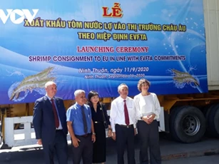 Ninh Thuận xuất khẩu tôm vào thị trường EU theo Hiệp định EVFTA