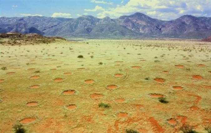 Bí ẩn 'vòng tròn thần tiên' ở Namibia