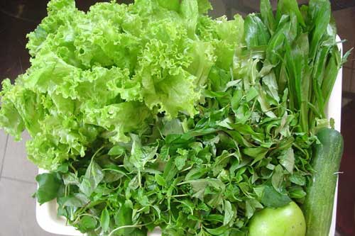 Những người tuyệt đối không nên ăn rau sống