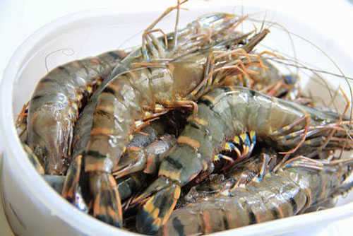Tuyệt chiêu chọn tôm tươi ngon cực đơn giản