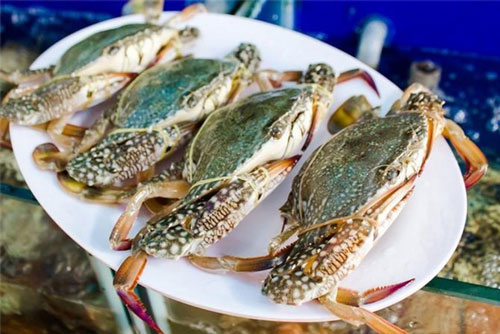 Mẹo chọn ghẹ tươi ngon, nhiều thịt, mua 10 con ngon cả 10