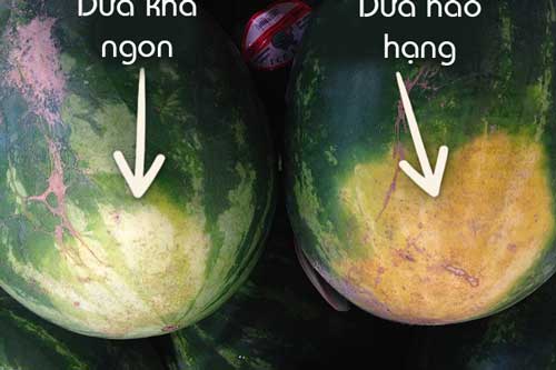 5 điểm "vàng" trên quả dưa hấu cho bạn biết chính xác độ ngon ngọt, đảm bảo chọn 10 quả thì ngon cả 10