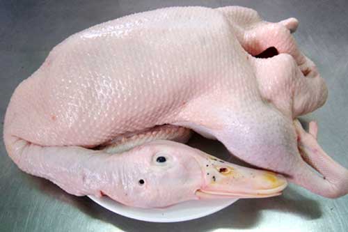Tuyệt chiêu chọn vịt ngon không tiêm nước, chuẩn hàng chính hãng