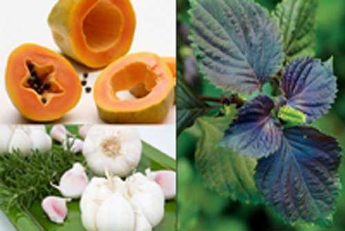 Mẹo nhỏ giúp chữa trị mụn thịt dứt điểm