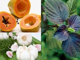 Mẹo nhỏ giúp chữa trị mụn thịt dứt điểm