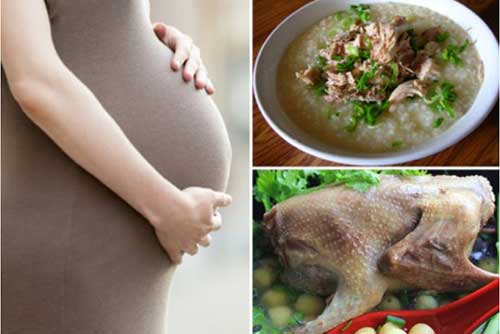 Mách bạn cách nấu cháo chim bồ câu thơm ngon bổ dưỡng