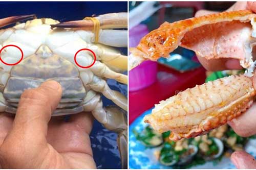 Muốn chọn ghẹ tươi ngon, nhiều thịt cứ ấn nhẹ vào điểm này, đảm bảo "bách phát bách trúng"