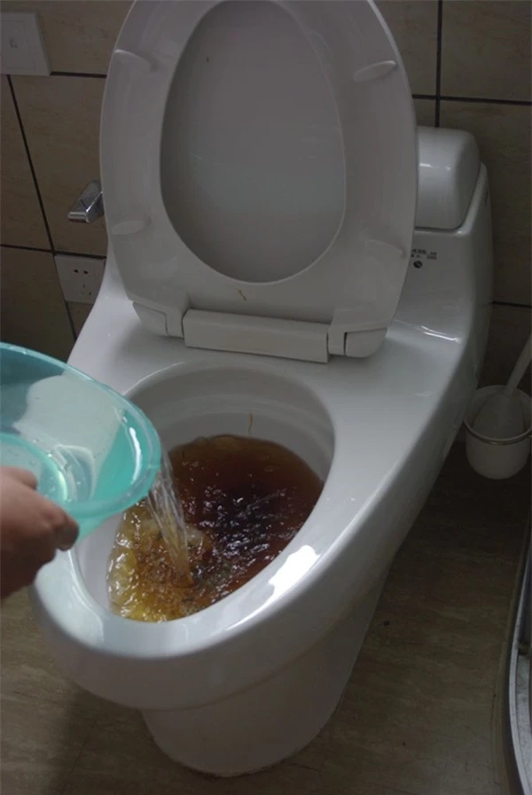 Ai ngờ chỉ vài giọt nước rửa bát cũng có thể thông bồn cầu "sạch trơn" trong vài phút - 3
