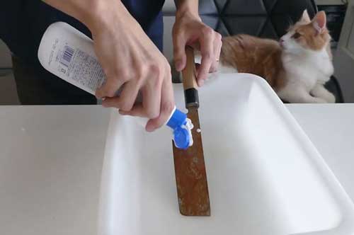 Cách đơn giản biến dao cùn rỉ sét sáng bóng, sắc lẹm vô cùng hiệu quả 