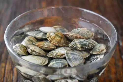 Tuyệt chiêu khiến ngao nhả sạch cát không còn một hạt cực đơn giản