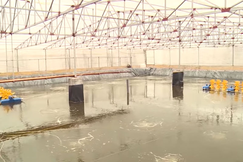 Bạc Liêu: Thu 23 tỷ đồng/năm nhờ 1 ha nuôi tôm công nghệ cao