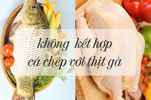 Những thực phẩm không nên kết hợp với thịt gà, biết để khỏi mang họa vào thân
