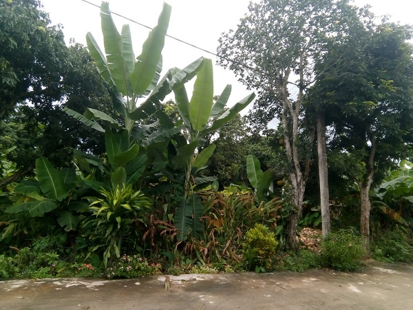 Điện Biên: Ngày 18/9, Tòa án xét xử vụ án UBND huyện Điện Biên bị một người dân kiện ra tòa