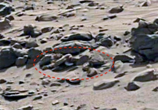 Bí ẩn bộ xương dài gần 2m nghi của người ngoài hành tinh