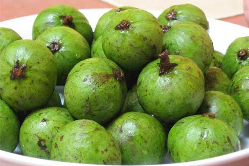 Những bài thuốc chữa bệnh cực hiệu nghiệm từ quả sấu