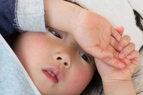 Sốt xuất huyết nên ăn gì?