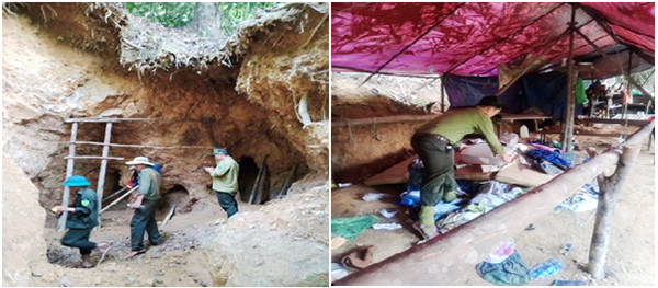 Đà Nẵng: Phát hiện 3 hầm vàng chuẩn bị khai thác trái phép tại rừng Hòa Bắc