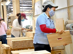 Gỗ Việt nơm nớp nỗi lo rủi ro giả xuất xứ