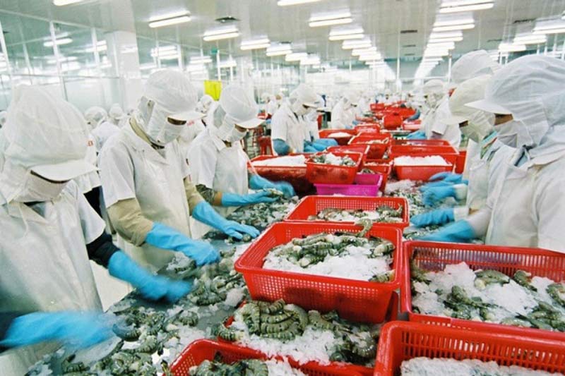 Xuất khẩu tôm sang EU tăng 10% sau khi EVFTA có hiệu lực